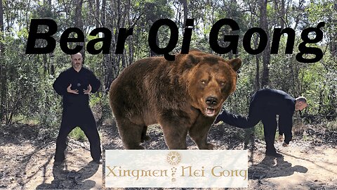 Easy 5min BEAR QI GONG🐻🍯 for balance relaxation and wellness [4]