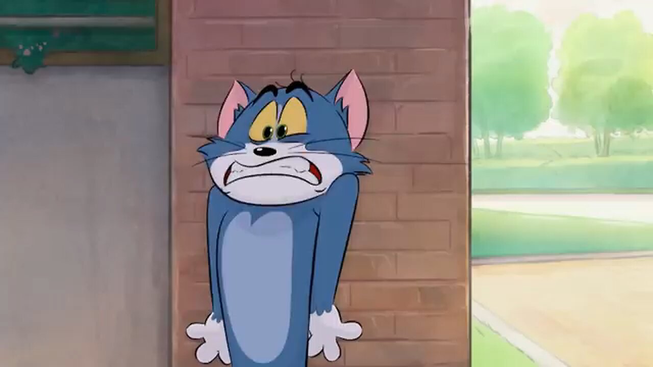 see tom & jerry 🤣🤣