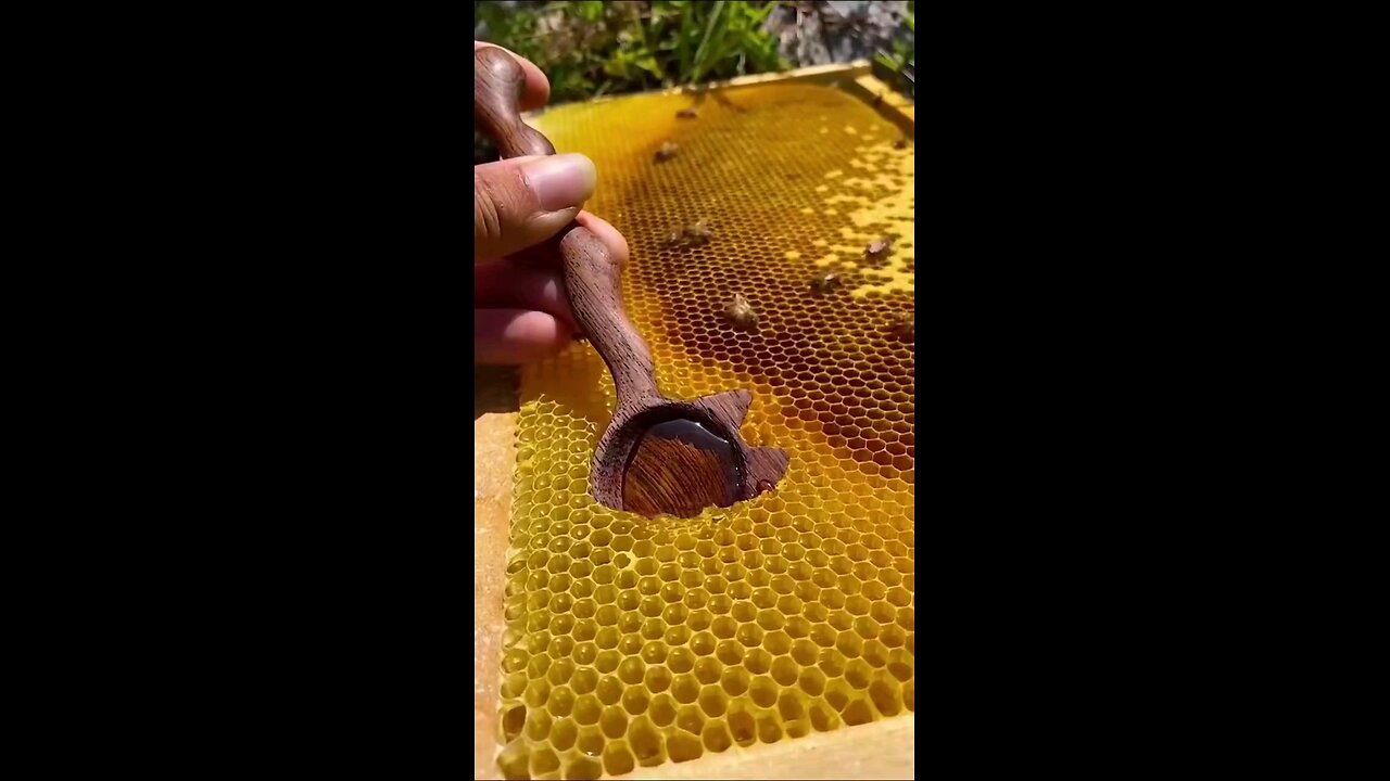Honey 🍯