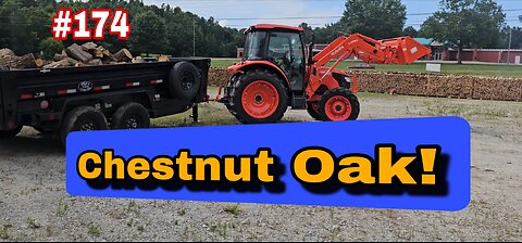 Processing Chestnut Oak With The Eastonmade 24D Log Splitter‼️