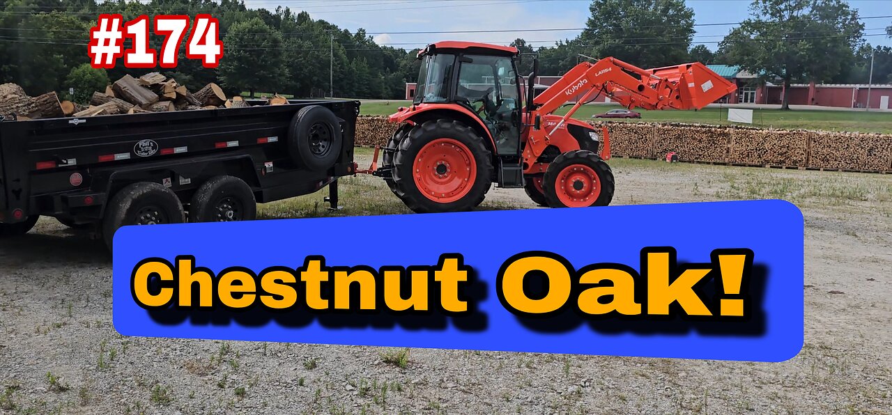 Processing Chestnut Oak With The Eastonmade 24D Log Splitter‼️