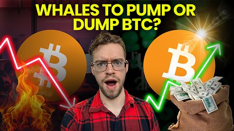 Whale Money Could Decide Bitcoin’s Next Big Move: $112k or $125k Next?