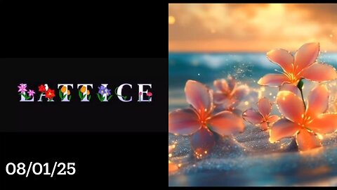 #LATTICE 08/01/25 #DivineICO #STELLARRUSSIA