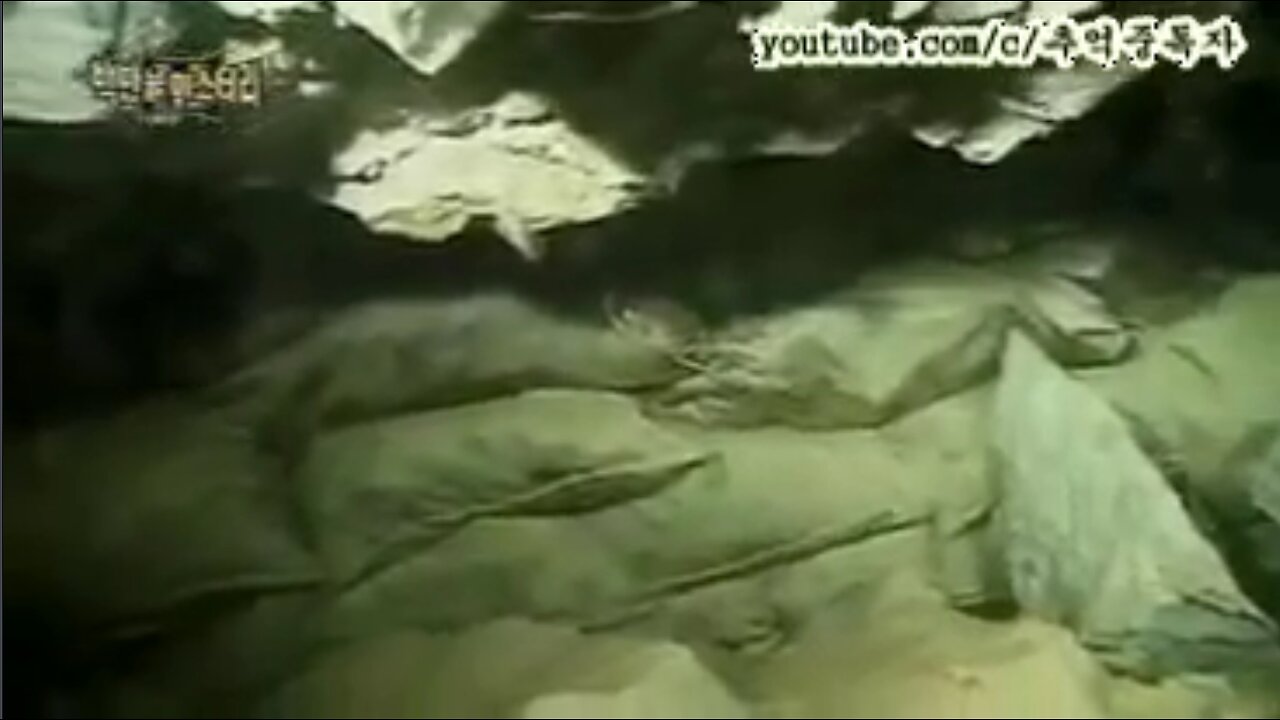 002.[Gold] The CIA is on the rise! 50% of the gold in Moonhyeon-dong belongs to the US government!