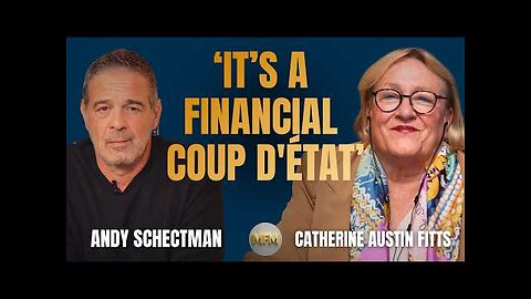 They’ve Given Up on the Country’: Inside the Financial Coup | Catherine Austin Fitts
