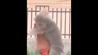 No one can express their joy like a dog.