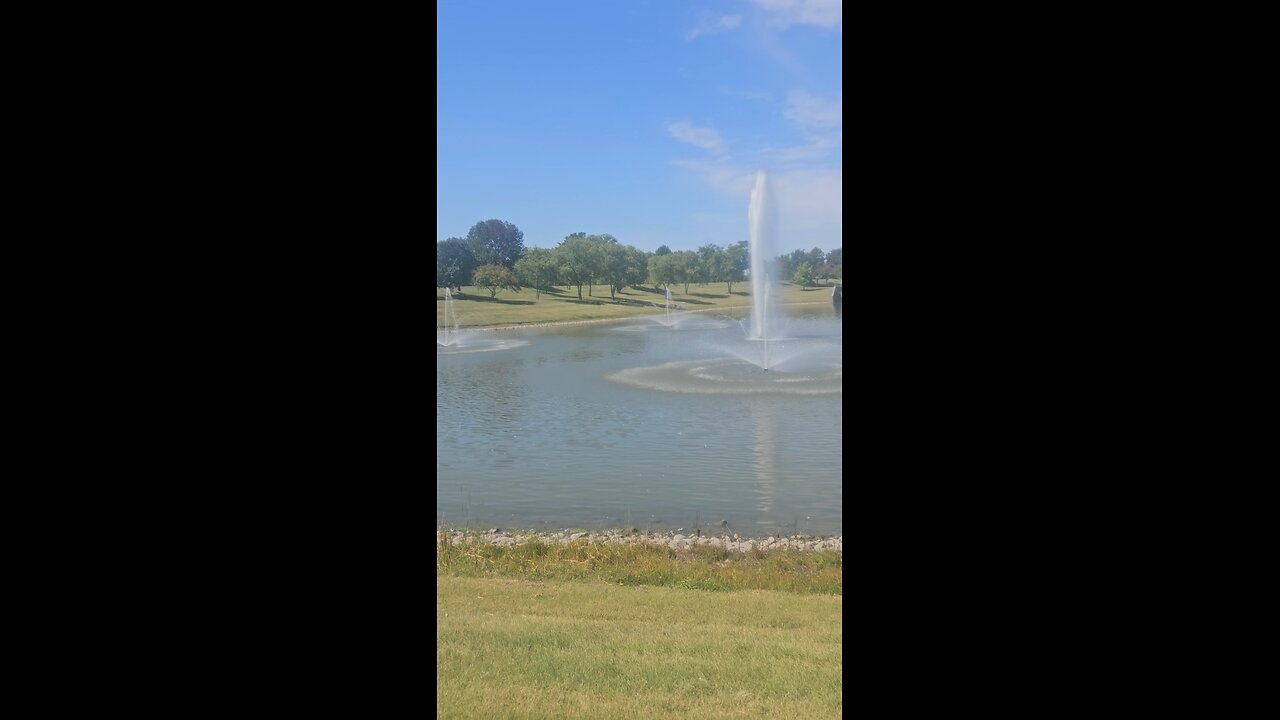 My Peaceful Place - Why are Gasoline and Electricity so Expensive in Illinois?