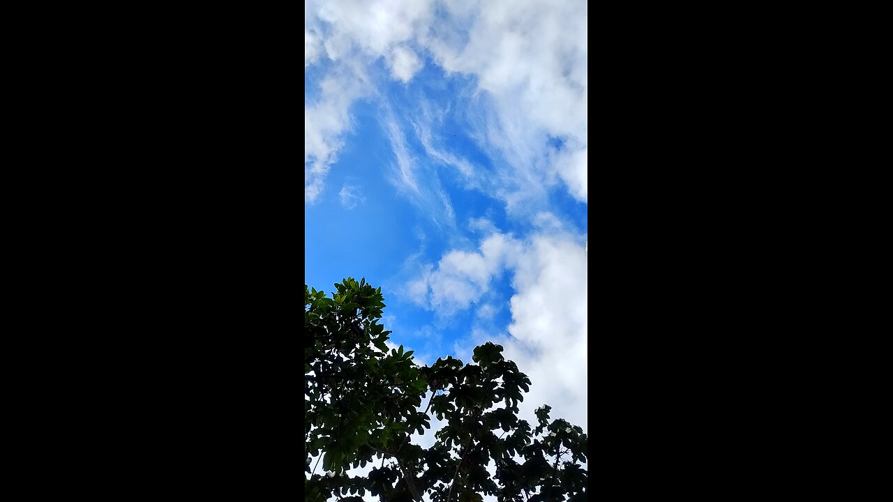 make clouds great again