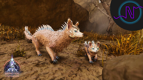 Searching for the New Drakeling and Veilwyn! - ARK: Survival Ascended Extinction LE143