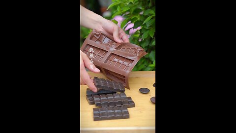 From Cocoa Bean to Chocolate Bar 🍫🌱 | The Sweet Journey! #CocoaToChocolate #ChocolateMaking