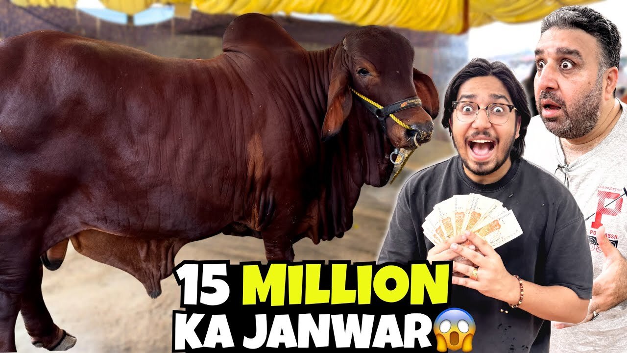 1.5 Crore Ka Janwar 😱 | Mandi Ka Sabse Mehnga Janwar