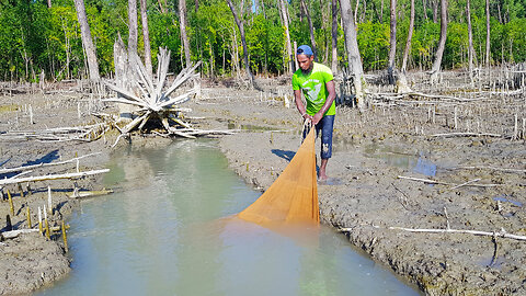 Wonderfull Net Fishing In River Side Hole
