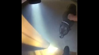 🐶👮‍♂️Policía rescata a un perro de una casa durante un incendio