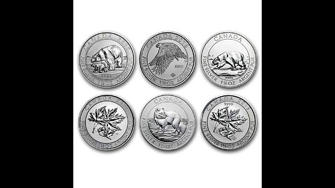 Canadian Wildlife Silver Rounds