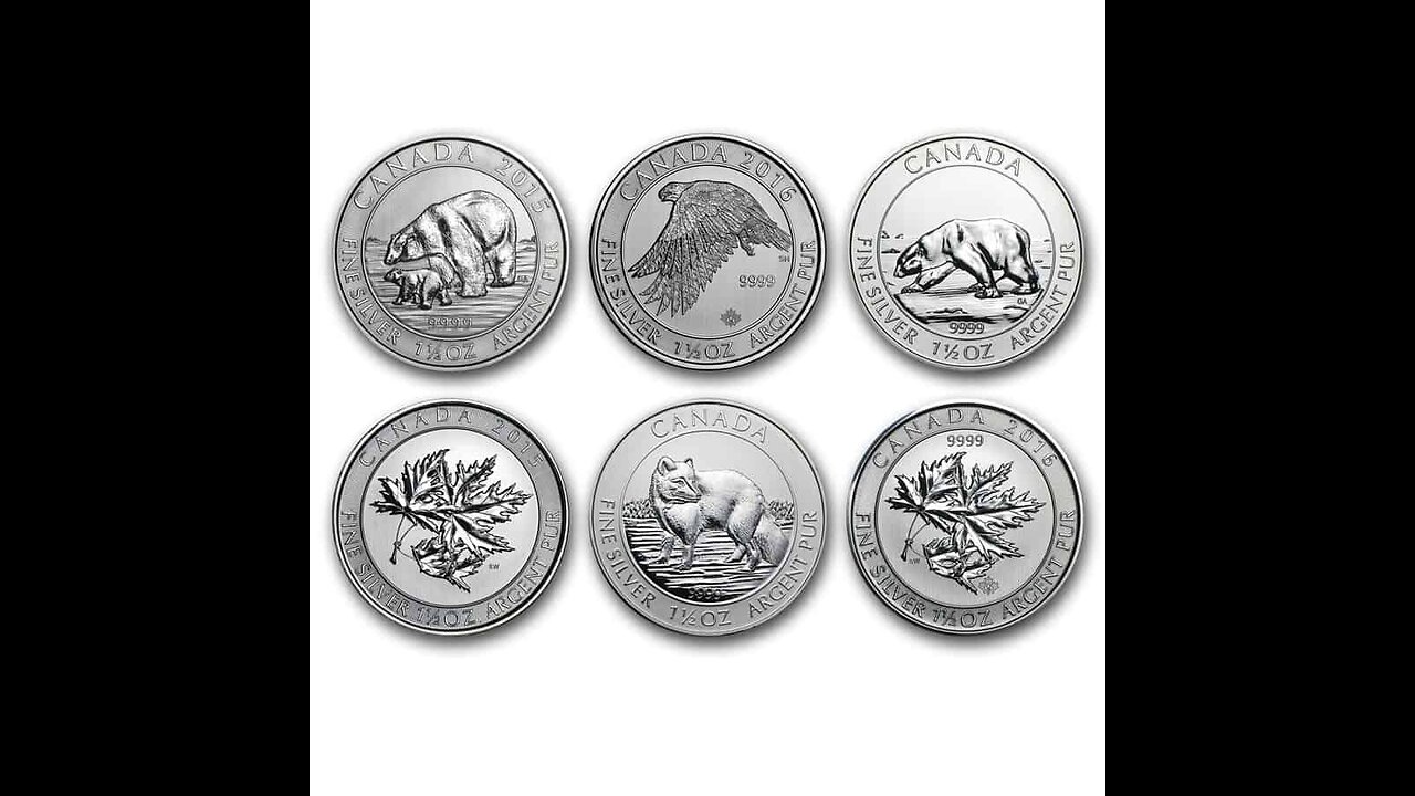 Canadian Wildlife Silver Rounds