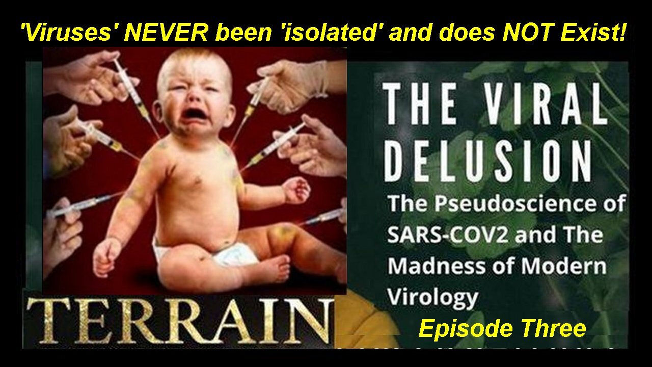TERRAIN! The Viral Delusion Pt 3/5 Remastered: 'Viruses'! - How It All Began!