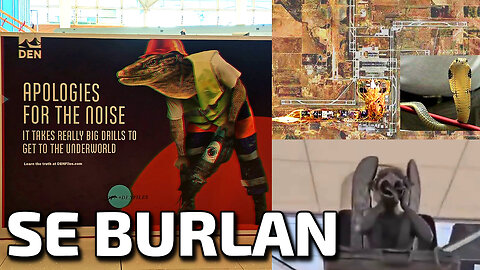 Los Draconianos Reptiloides Se Están Riendo De Nosotros