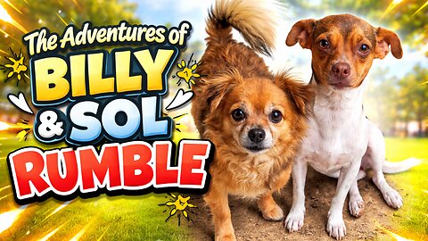 When Two Dogs Take Over: The Wild Antics of Billy and Sol
