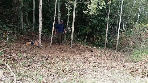 Camping and bulding a mysterious wooden cabin in the forest