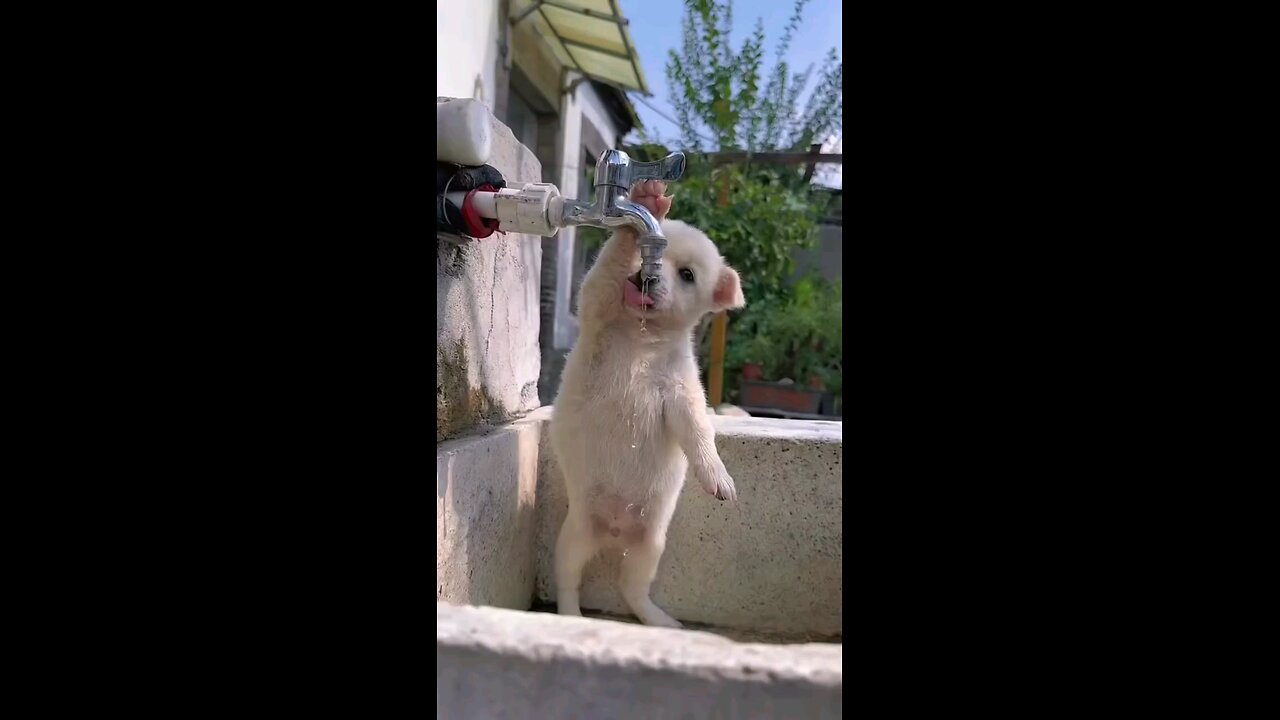 बुयुटीफुल