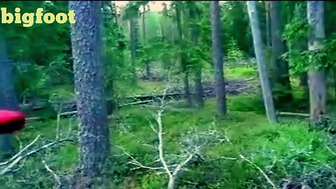 Bigfoot in Russia? Almasty Caught on Camera Leaves Experts Shocked!"