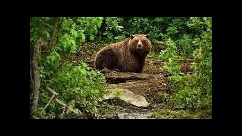 ПРЕДСКАЗАНИЯ СБЫВАЮТСЯ…