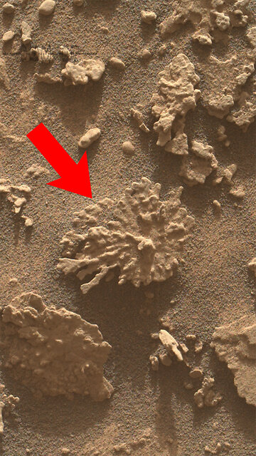 Som ET - 59 - Mars - Curiosity Sol 4608 - 1