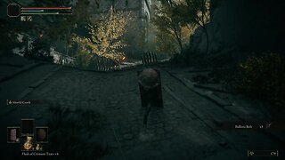 Bashing My Way Through My Foes - Elden Ring - Shield Only - Part 1