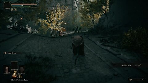 Bashing My Way Through My Foes - Elden Ring - Shield Only - Part 1