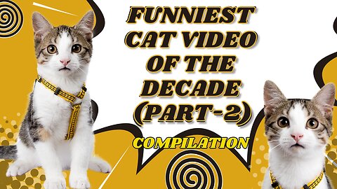 Funniest Cat Video Compilation of the Decade (Part-2)