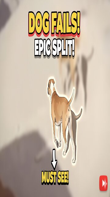 Dog Tries EPIC Split and Fails Hilariously! 😂 (Must Watch!)