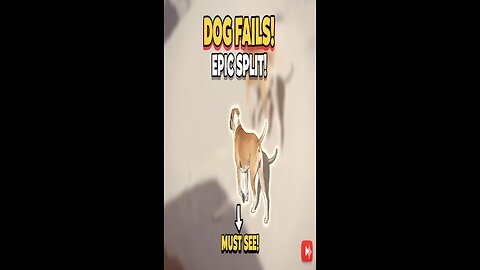 Dog Tries EPIC Split and Fails Hilariously! 😂 (Must Watch!)