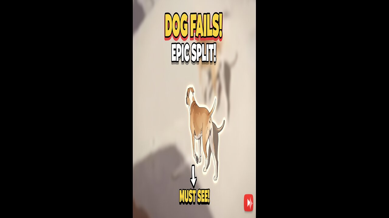 Dog Tries EPIC Split and Fails Hilariously! 😂 (Must Watch!)