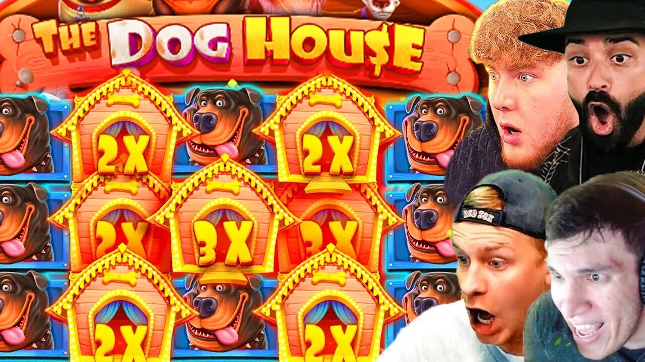 THE DOG HOUSE SLOT INSANE WIN