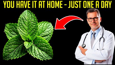 Miracle 1 Leaf Destroys DIABETES, Bad CHOLESTEROL And FAT Belly! - Senior Health