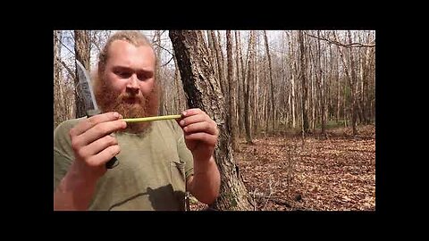 How To Extract Fresh Drinking Water From A Tree