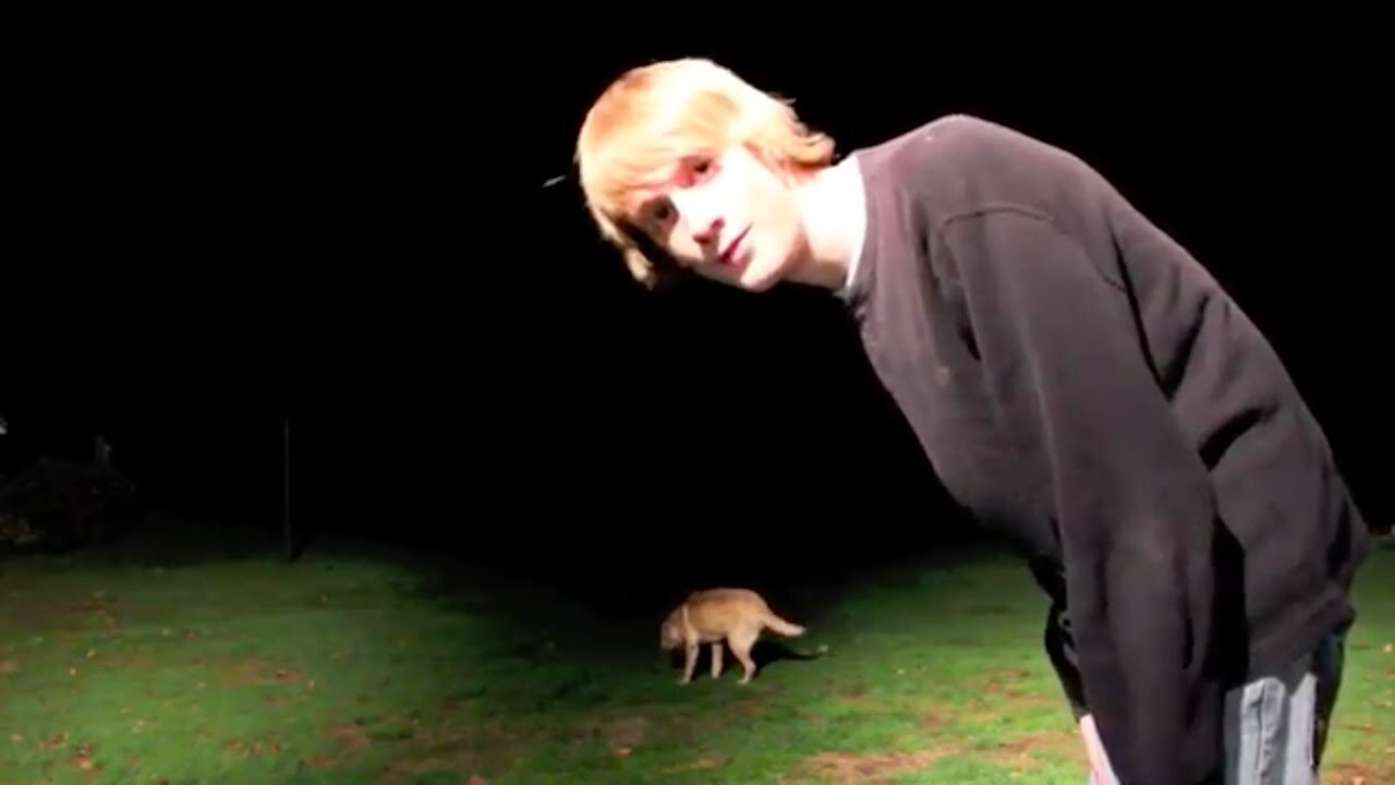 Bruno Being Stubborn - Time Lapse (Andrew Blaze - Randy Stair)