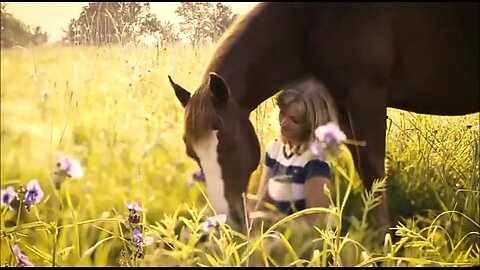 HORSES ARE THE MOST BEAUTIFUL & MAJESTIC ANIMAL IN MY OPINION 💕