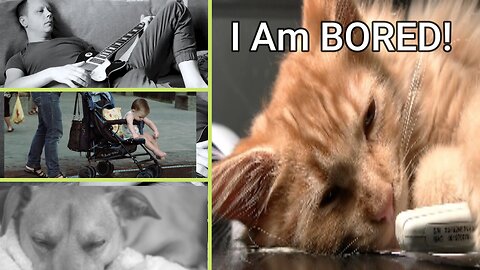 I Am BORED! 😂 Funny Clips of Kids, Pets & Grown‑Ups