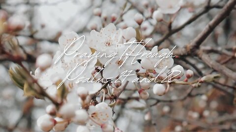 Psalm 27 & 28: Finding Strength and Hope | Powerful Bible Reading🙆🤓😎🤩😍 #biblestudy #education 😍😀🤣👐