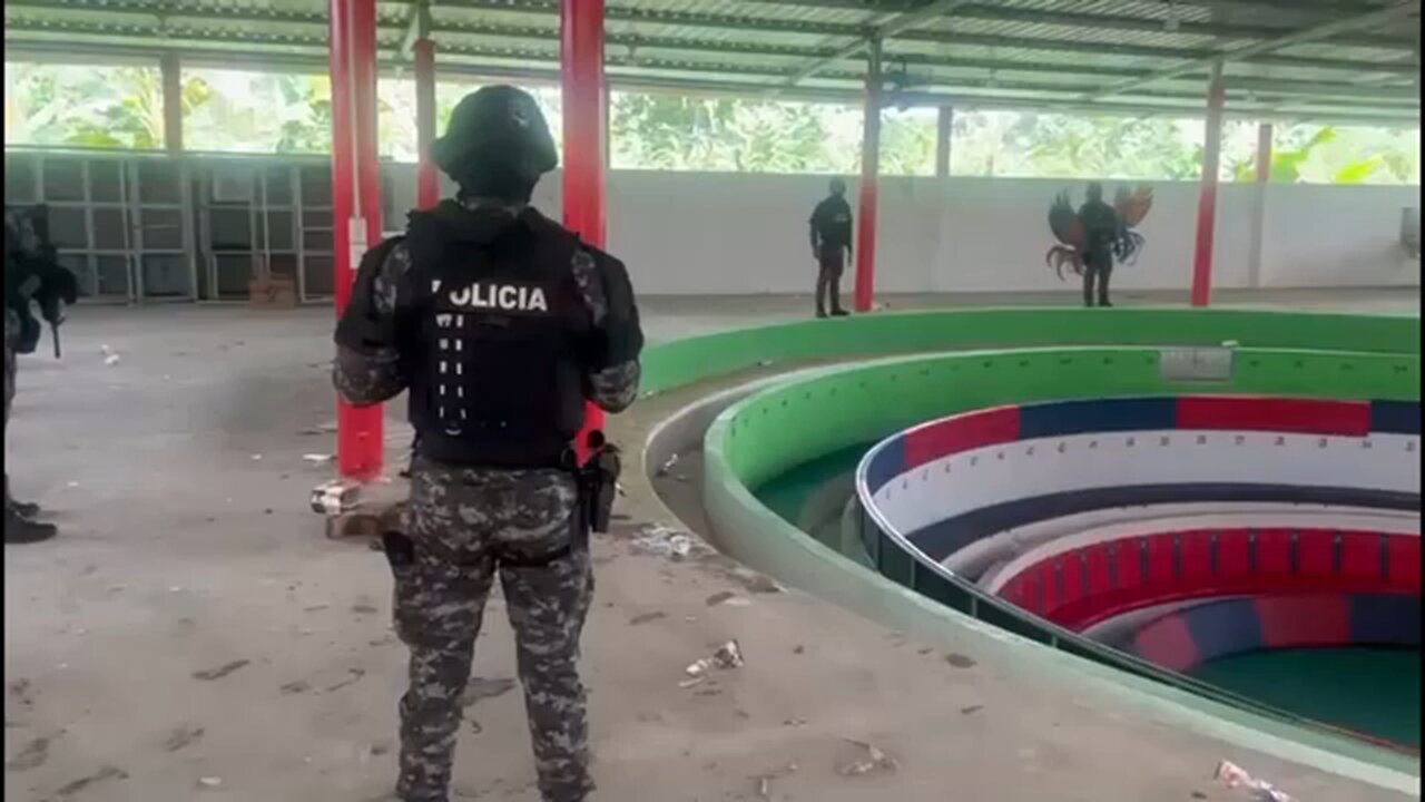 At least 12 killed in attack during cockfighting event in Ecuador