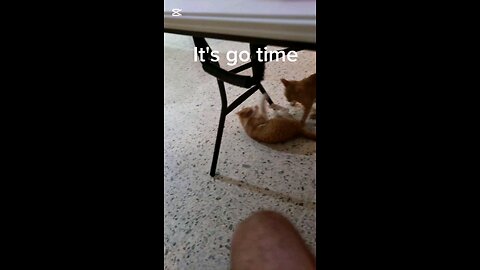 It's always go time