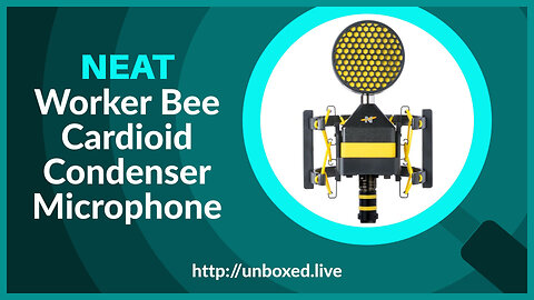 NEAT Worker Bee Cardioid Condenser Microphone - PLUGHITZ Live Unboxed
