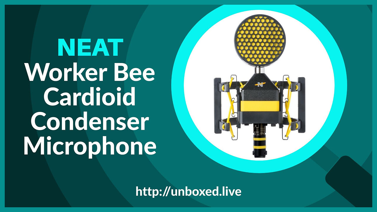 NEAT Worker Bee Cardioid Condenser Microphone - PLUGHITZ Live Unboxed