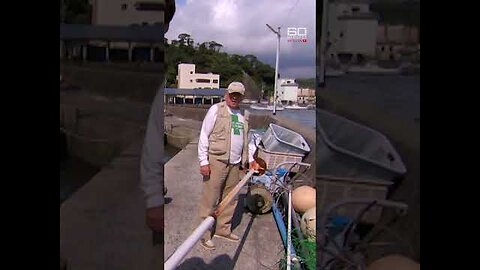 Japan s dolphin killing cove | 60 Minutes Australia