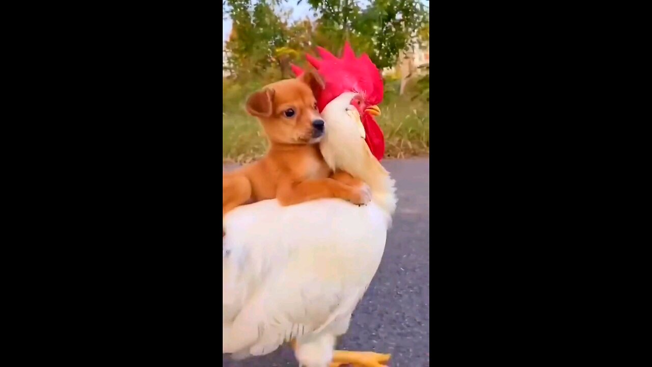 Amazing 🥰 friendships 🥰