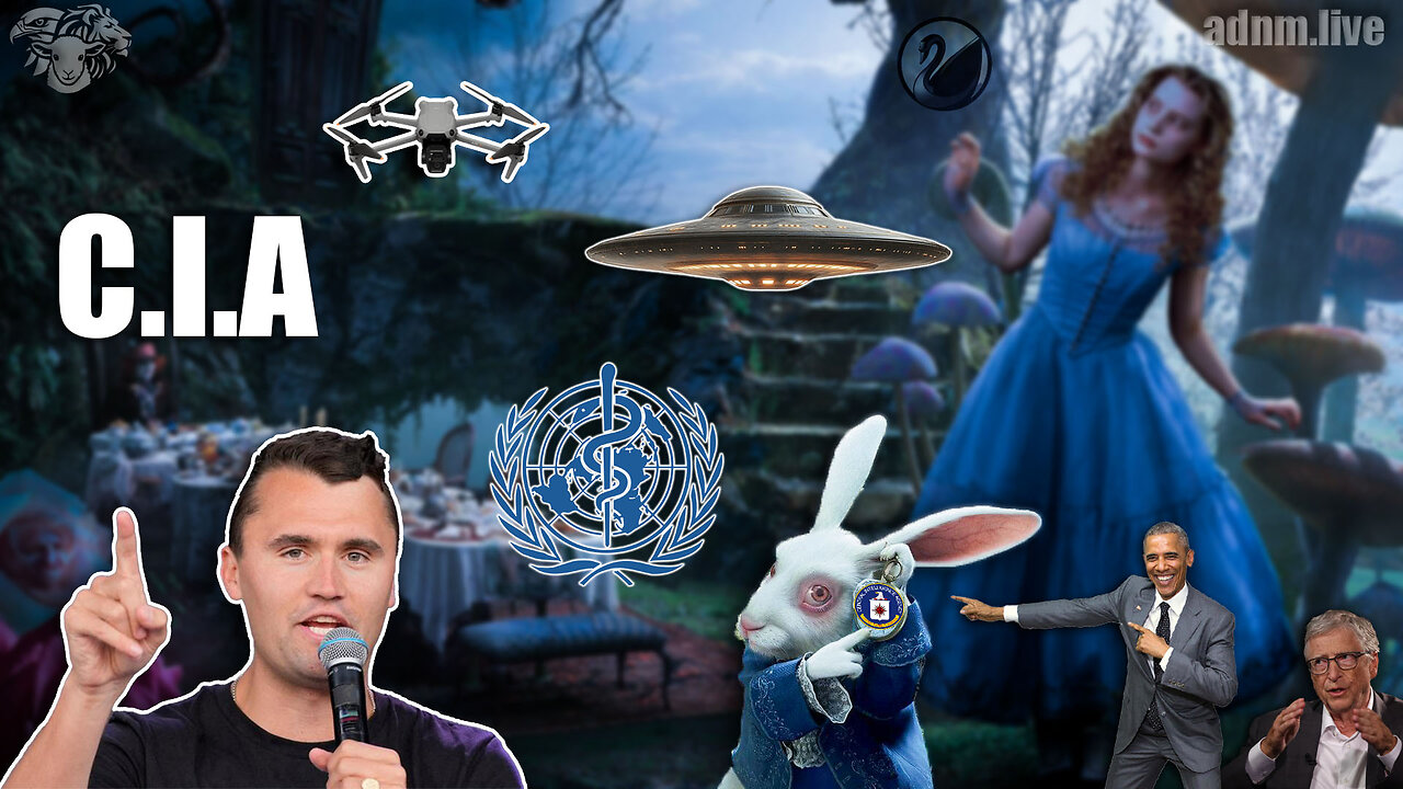 Alice à Babylone - live du 12/09/2025