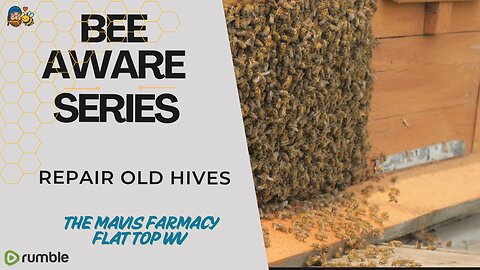 Bee Aware Series | Special Report | Repairing old Hives and Equiptment