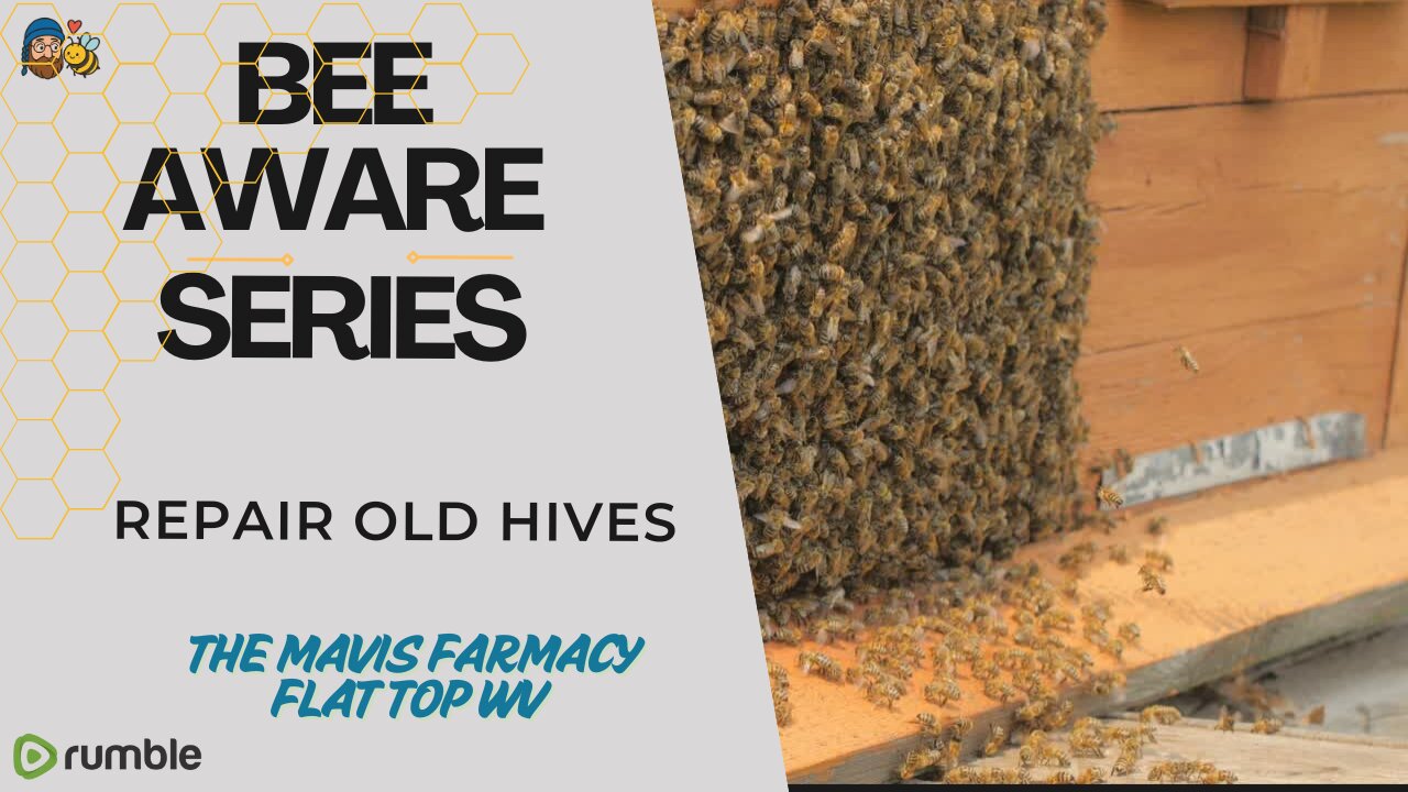 Bee Aware Series | Special Report | Repairing old Hives and Equiptment