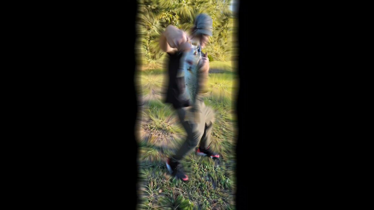 another picture edit